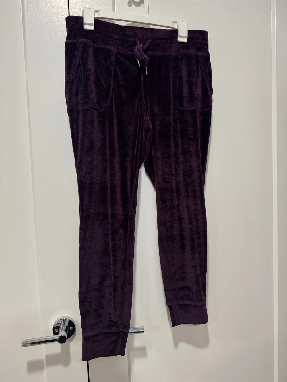 32 Degrees Plush Velour Joggers in Deep Plum